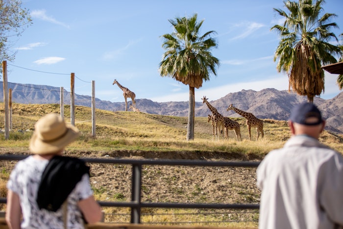 Zoo goers viewing giraffe habitat